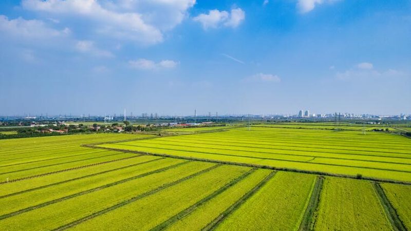 智慧农业园区设计方案：标准与规范解读