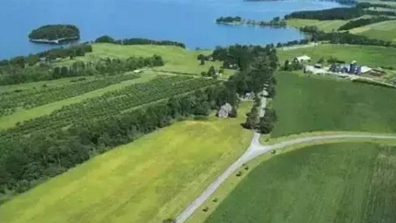 生鲜配送供应商资质清单：合规与安全的双重保障