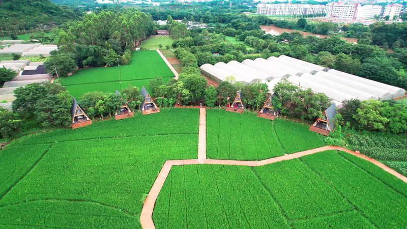 土壤养分分级标准表：科学种植的基石