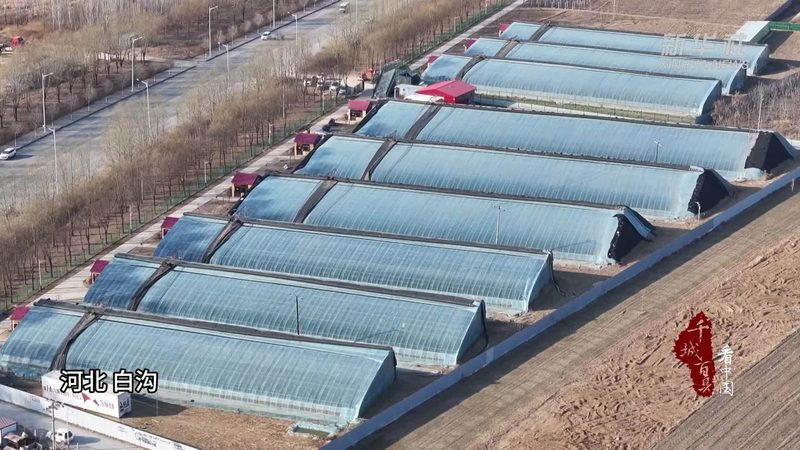 农产品批发市场质量安全标准全解析**