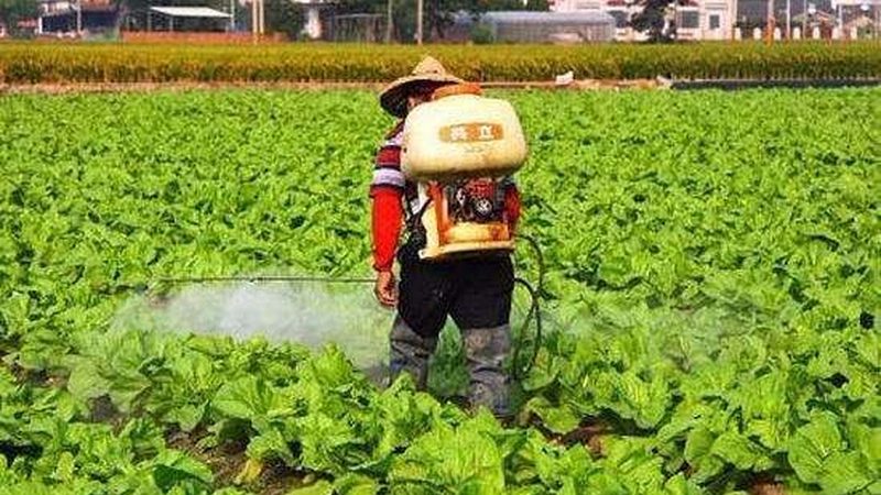 养殖合作社补贴，如何精准把握政策红利？**