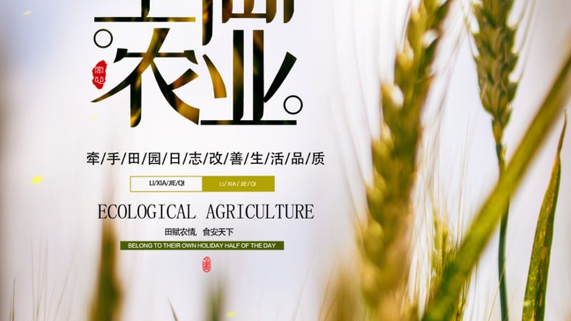 有机农业种植：种子品种选择的科学之道**